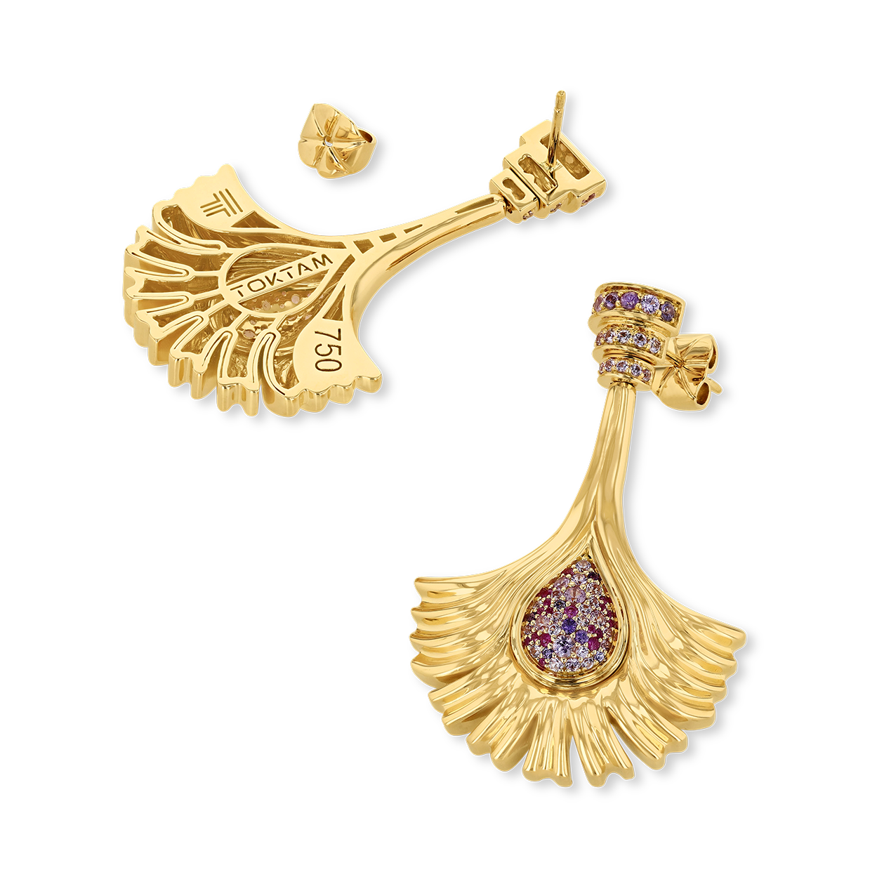 Flora & Fauna Daffodil