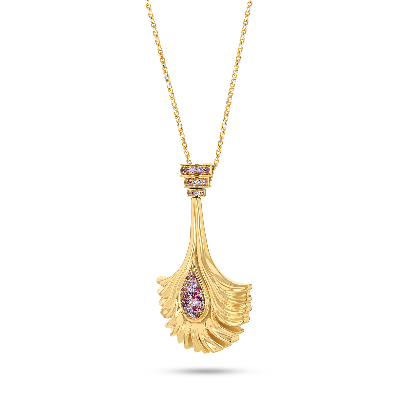 Flora & Fauna Daffodil