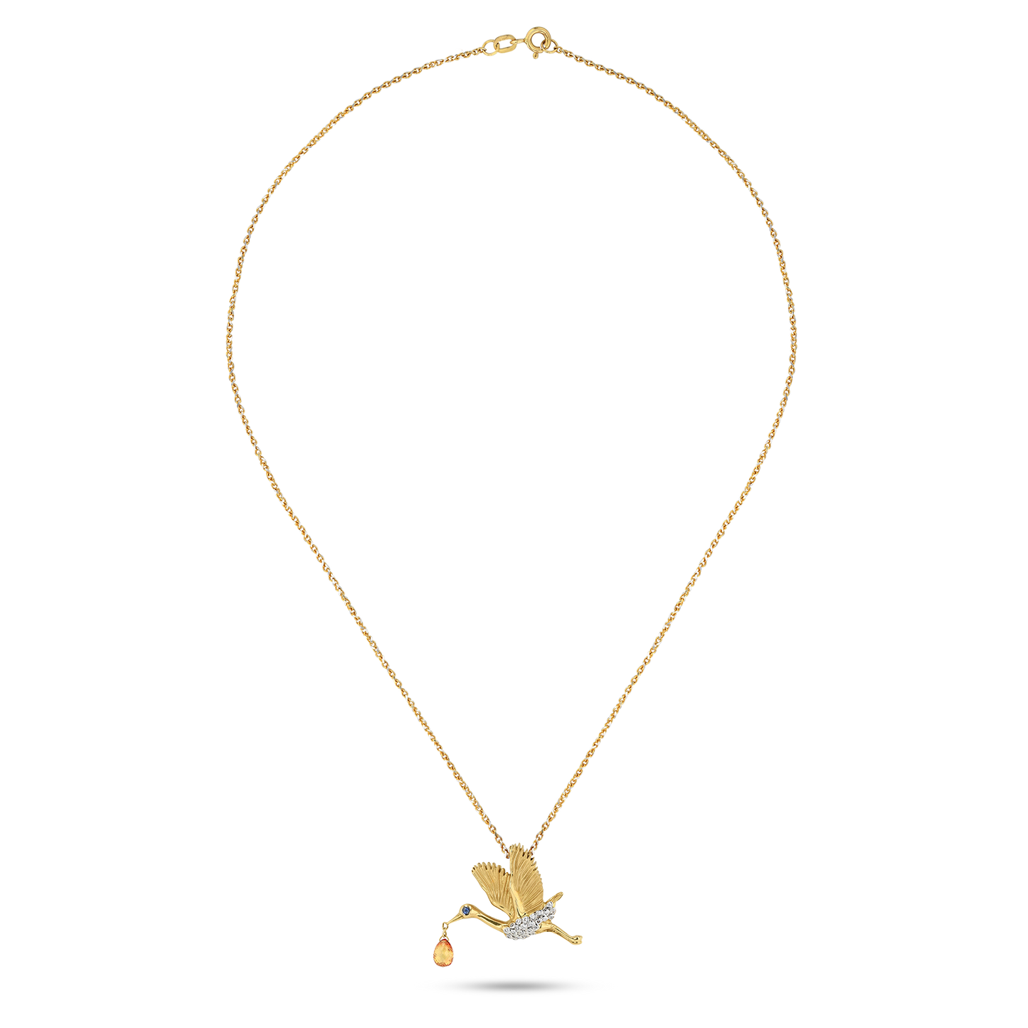 Flora & Fauna Blue Heron