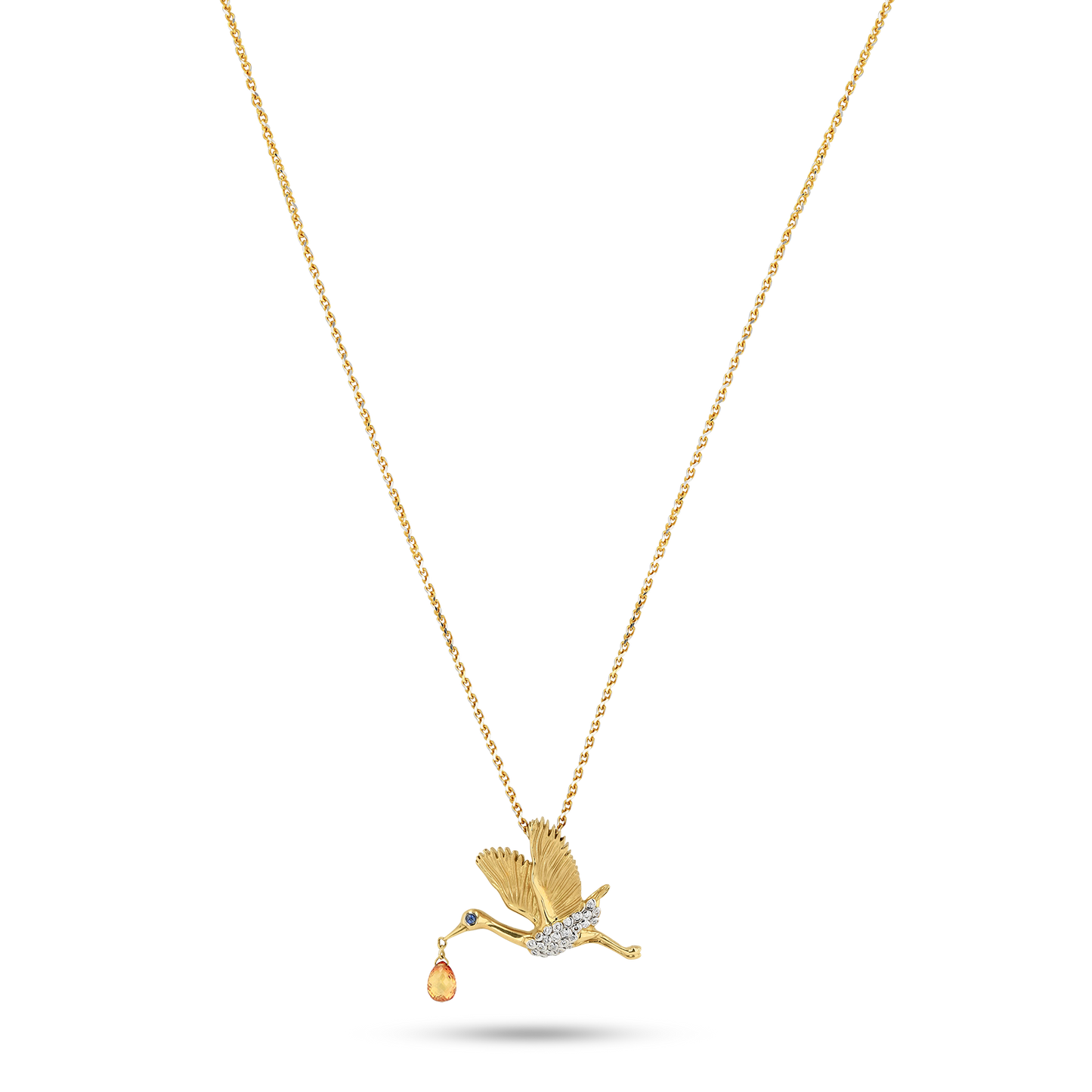 Flora & Fauna Blue Heron