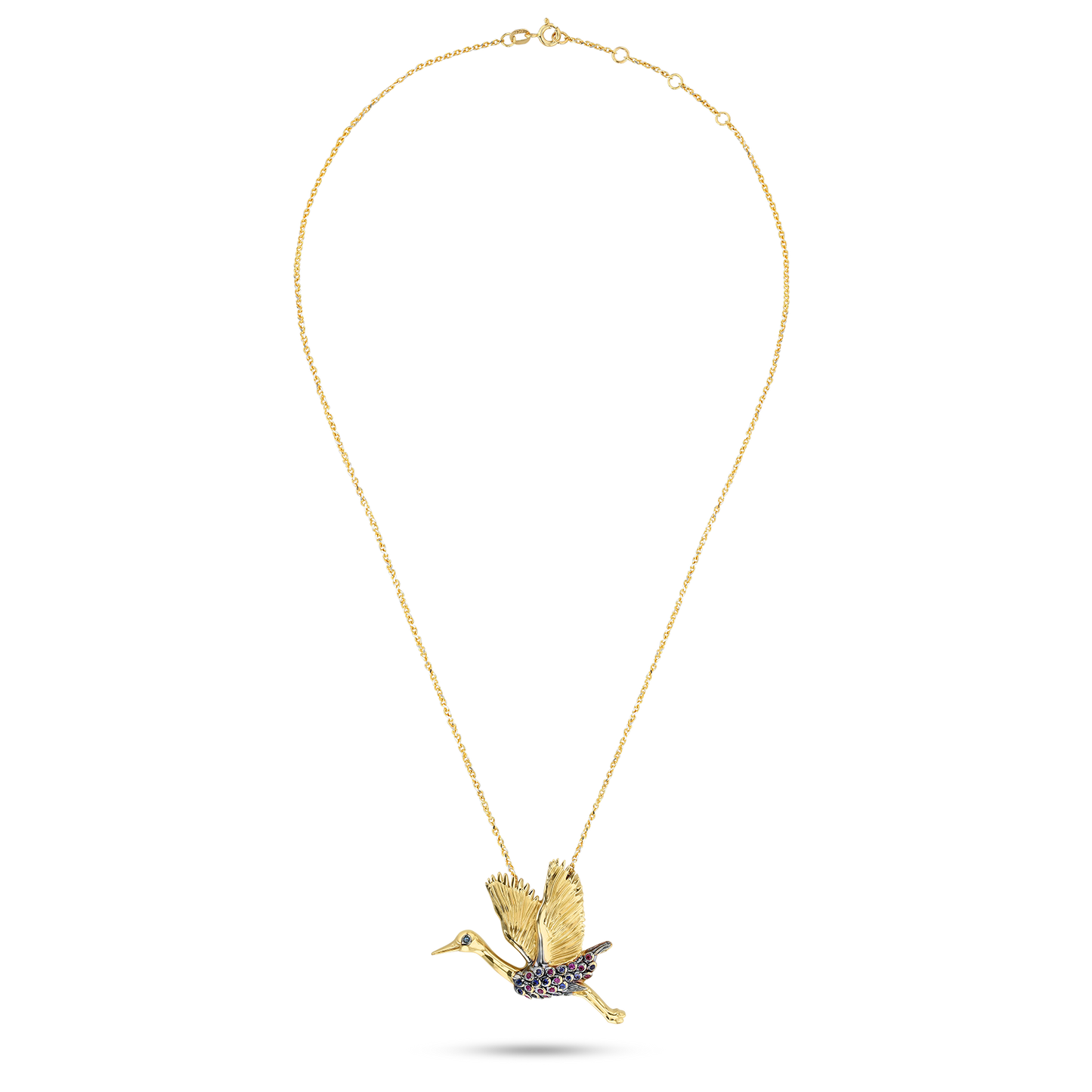 Flora & Fauna Blue Heron