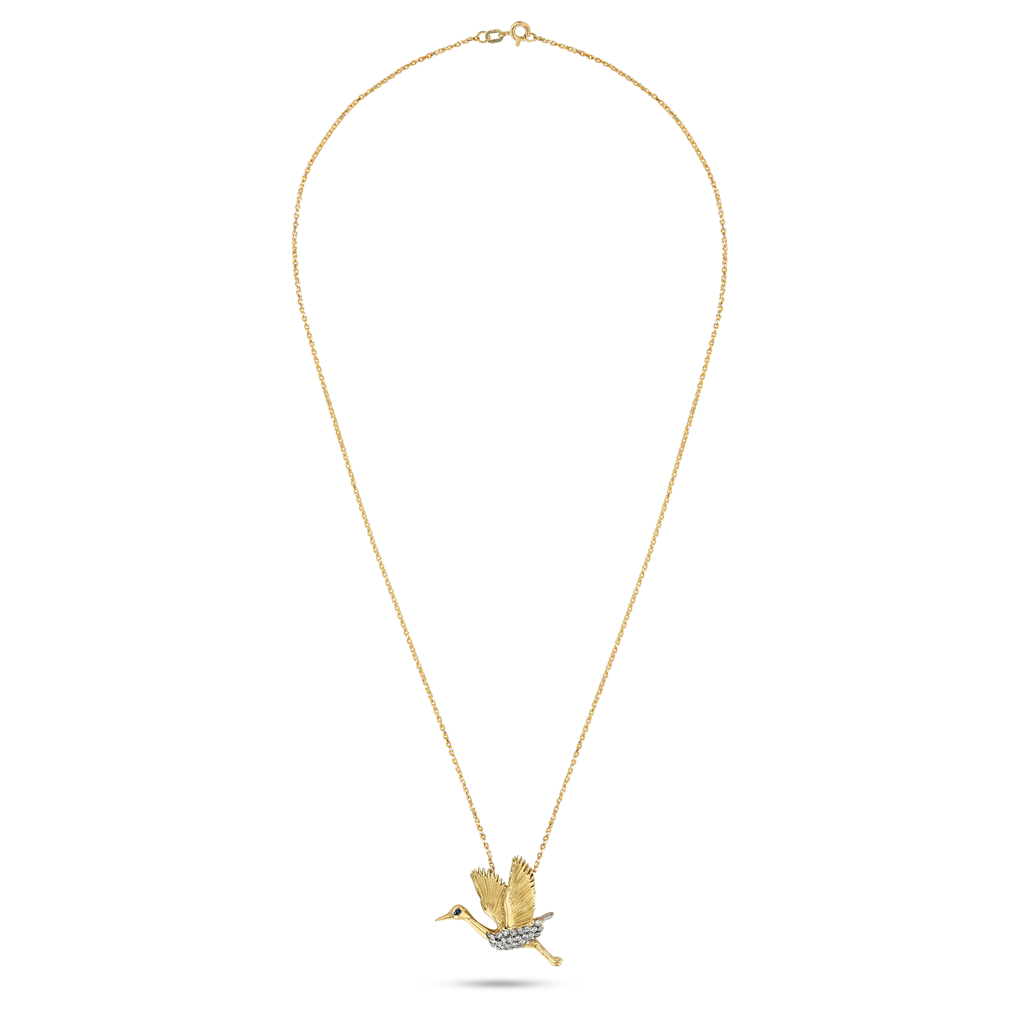 Flora & Fauna Blue Heron