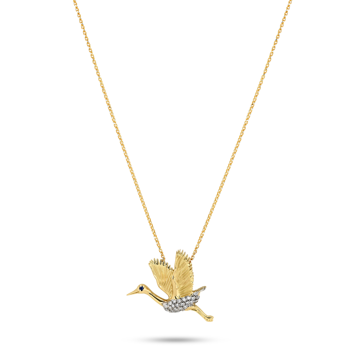 Flora & Fauna Blue Heron