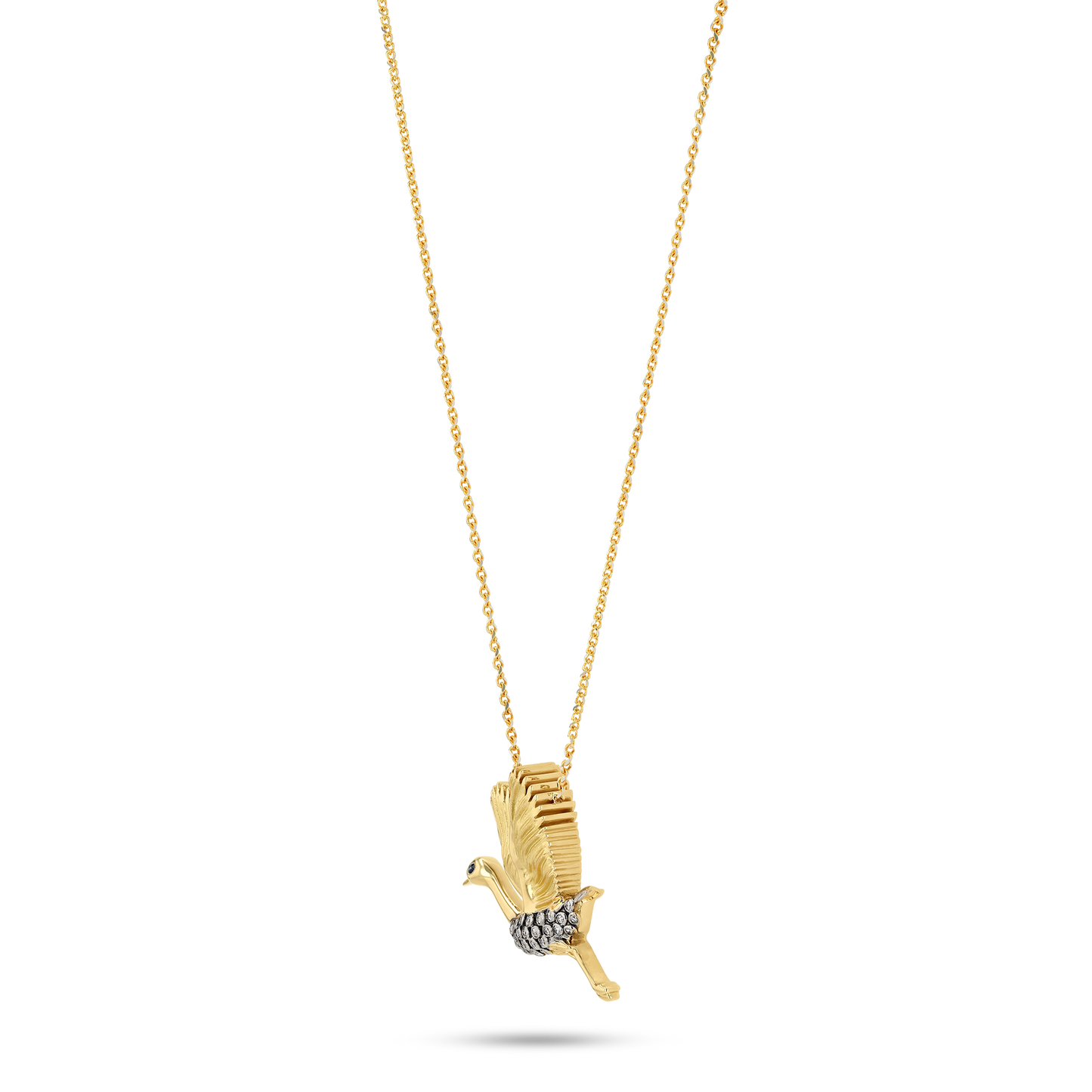 Flora & Fauna Blue Heron