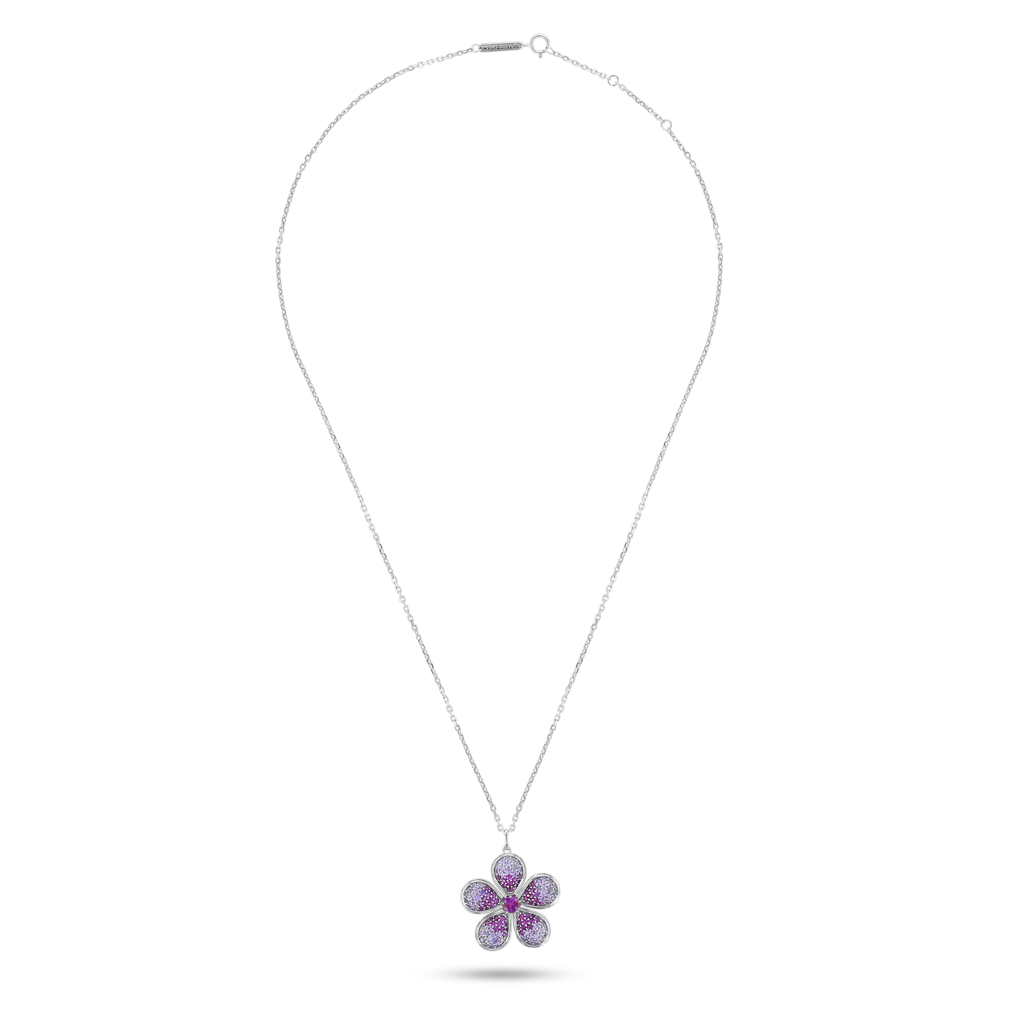 Flora & Fauna Petals