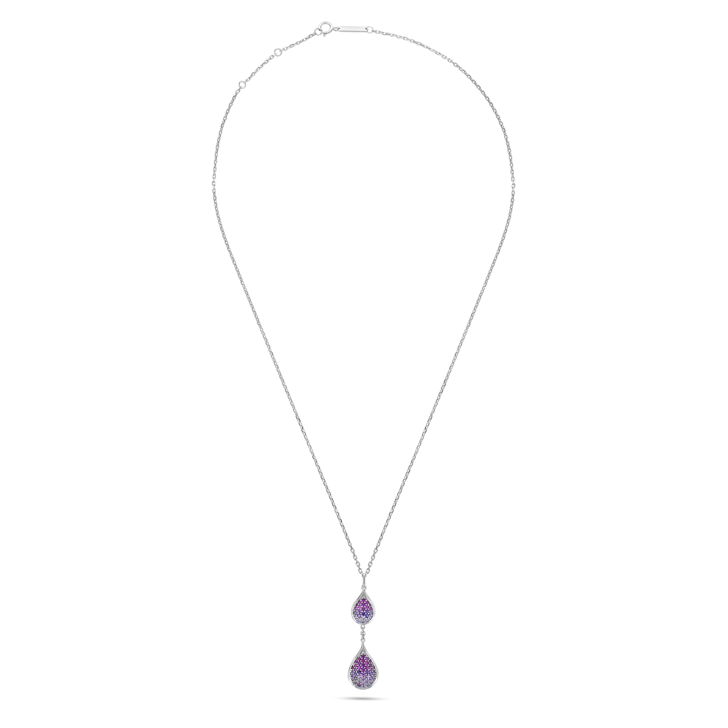 Flora & Fauna Petals