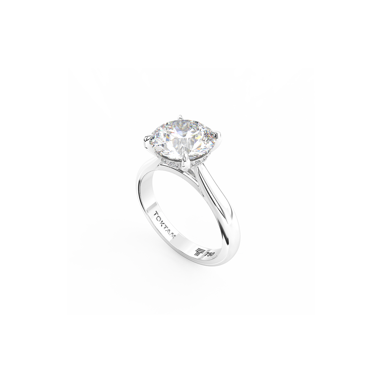 Engagement & Wedding