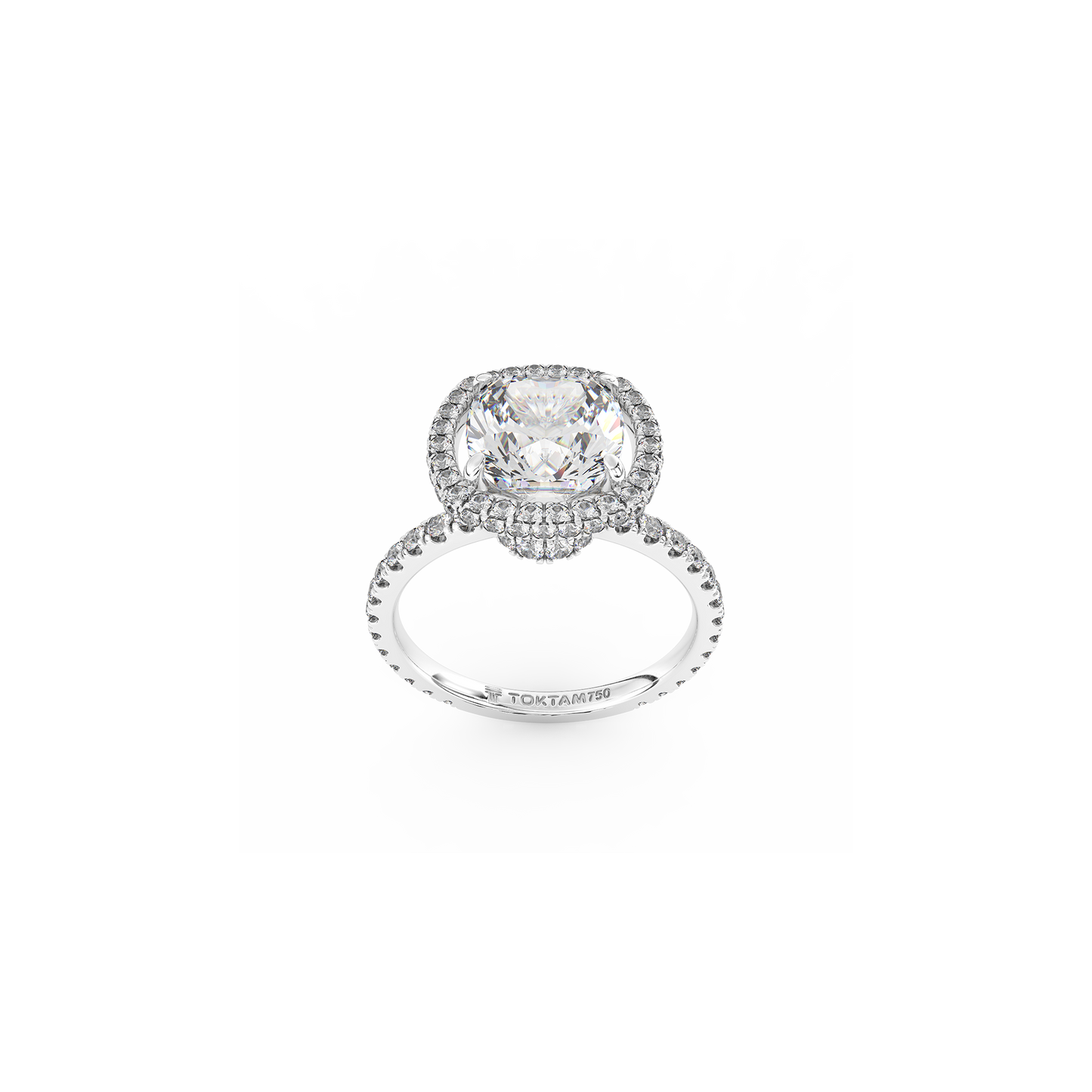 Engagement & Wedding