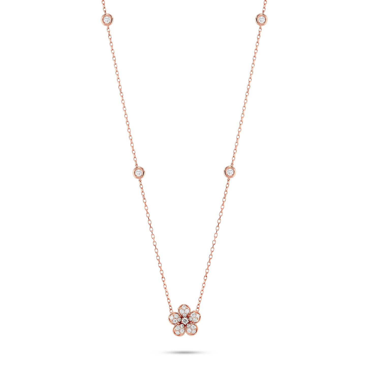 Rose Collection | Inspired by Qamsar’s Rose Blossoms – Toktam ...